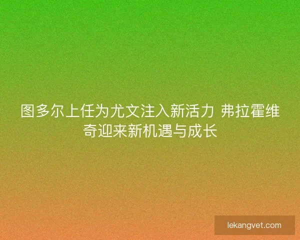 图多尔上任为尤文注入新活力 弗拉霍维奇迎来新机遇与成长 图多尔上任为尤文注入新活力 弗拉霍维奇迎来新机遇与成长