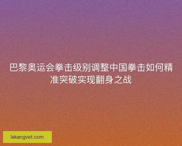 巴黎奥运会拳击级别调整中国拳击如何精准突破实现翻身之战