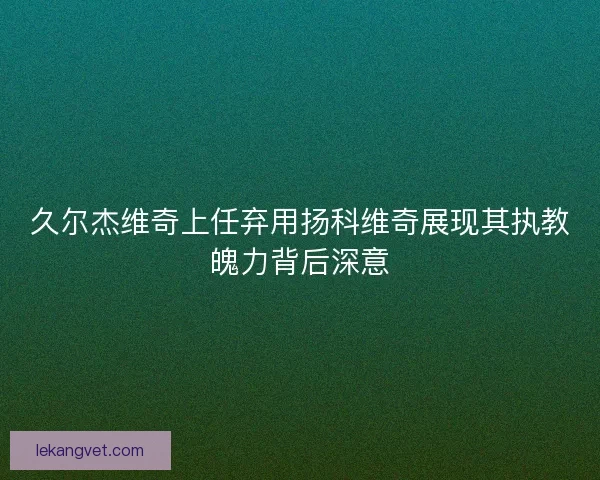 久尔杰维奇上任弃用扬科维奇展现其执教魄力背后深意