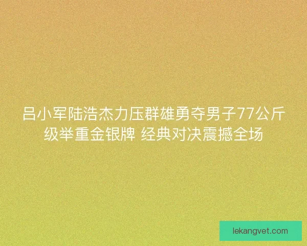 吕小军陆浩杰力压群雄勇夺男子77公斤级举重金银牌 经典对决震撼全场 吕小军陆浩杰力压群雄勇夺男子77公斤级举重金银牌 经典对决震撼全场