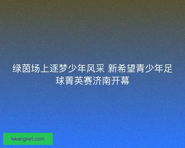 绿茵场上逐梦少年风采 新希望青少年足球菁英赛济南开幕