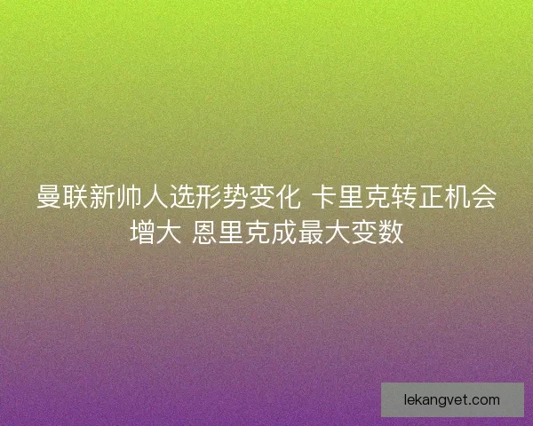 曼联新帅人选形势变化 卡里克转正机会增大 恩里克成最大变数