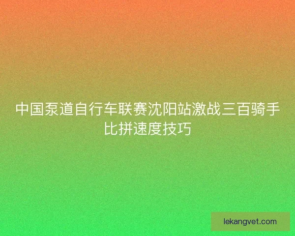 中国泵道自行车联赛沈阳站激战三百骑手比拼速度技巧