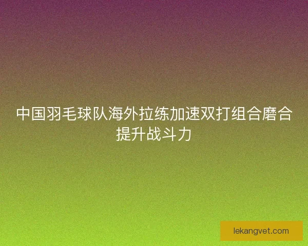 中国羽毛球队海外拉练加速双打组合磨合提升战斗力 中国羽毛球队海外拉练加速双打组合磨合提升战斗力